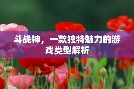 斗战神，一款独特魅力的游戏类型解析