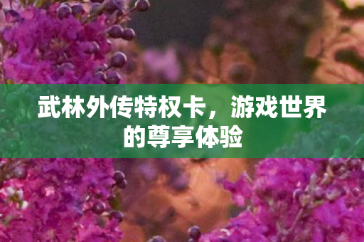 武林外传特权卡，游戏世界的尊享体验