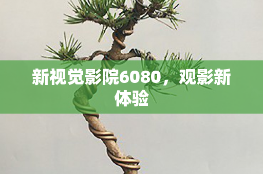 新视觉影院6080，观影新体验