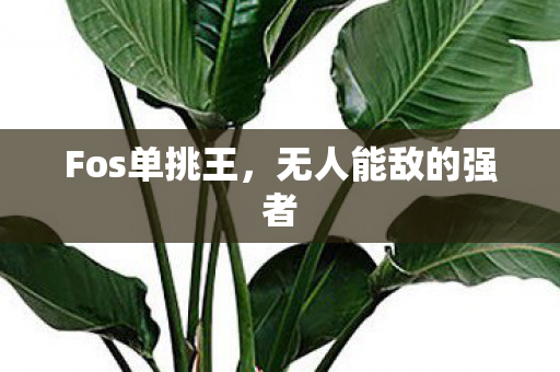 Fos单挑王，无人能敌的强者