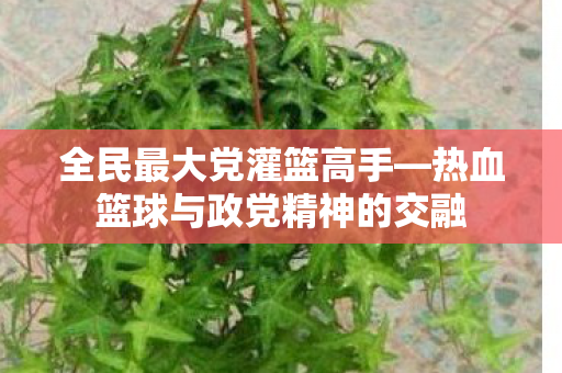 全民最大党灌篮高手—热血篮球与政党精神的交融