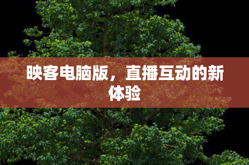 映客电脑版，直播互动的新体验