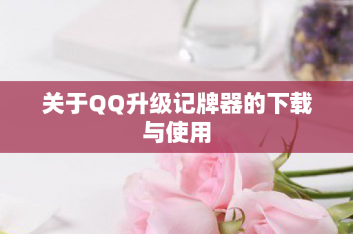 关于QQ升级记牌器的下载与使用