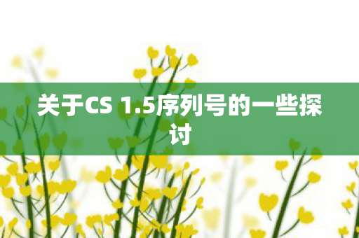 关于CS 1.5序列号的一些探讨