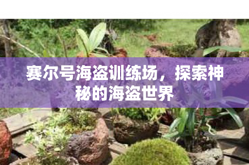 赛尔号海盗训练场，探索神秘的海盗世界