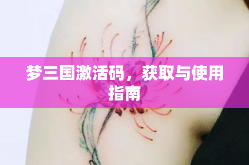 梦三国激活码，获取与使用指南