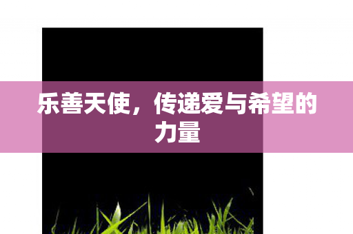 乐善天使，传递爱与希望的力量