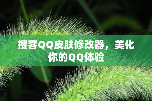 搜客QQ皮肤修改器，美化你的QQ体验