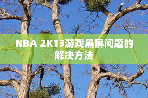 NBA 2K13游戏黑屏问题的解决方法