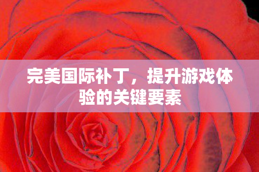 完美国际补丁，提升游戏体验的关键要素