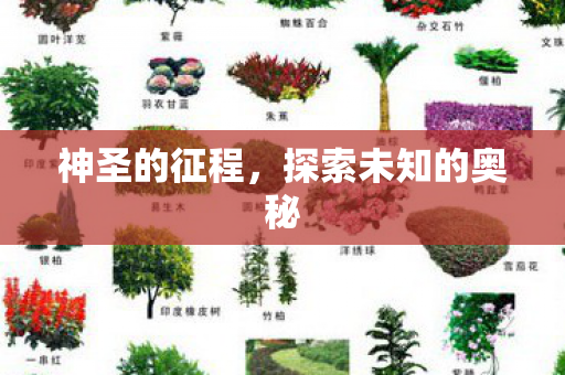 神圣的征程，探索未知的奥秘