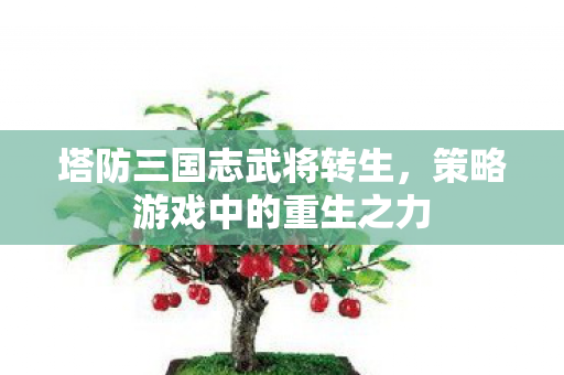 塔防三国志武将转生，策略游戏中的重生之力