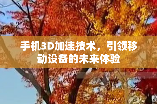 手机3D加速技术，引领移动设备的未来体验