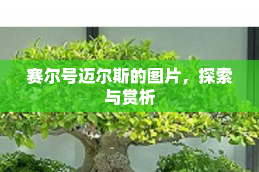 赛尔号迈尔斯的图片，探索与赏析