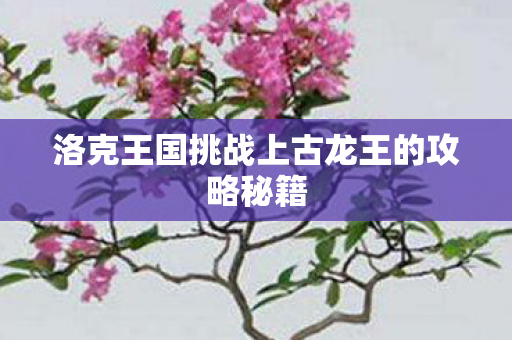 洛克王国挑战上古龙王的攻略秘籍