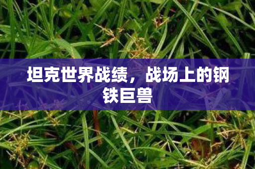 坦克世界战绩，战场上的钢铁巨兽