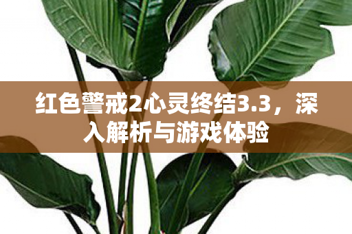 红色警戒2心灵终结3.3，深入解析与游戏体验