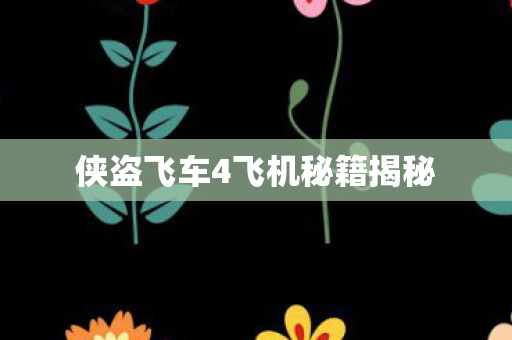 侠盗飞车4飞机秘籍揭秘