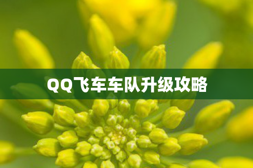 QQ飞车车队升级攻略
