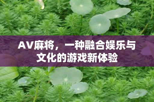 AV麻将，一种融合娱乐与文化的游戏新体验