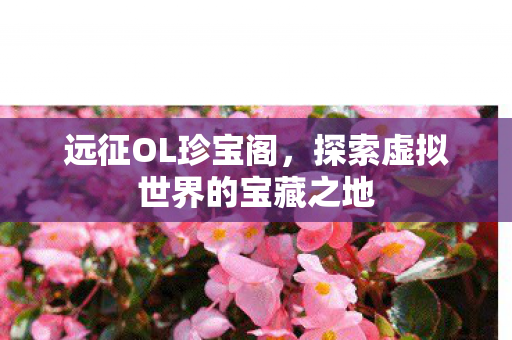 远征OL珍宝阁，探索虚拟世界的宝藏之地