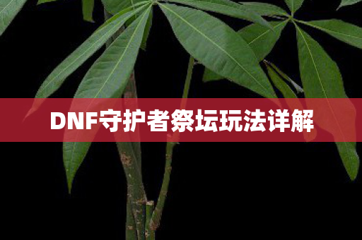 DNF守护者祭坛玩法详解