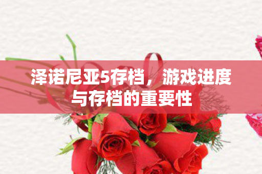 泽诺尼亚5存档，游戏进度与存档的重要性