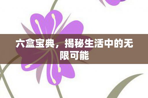 六盒宝典，揭秘生活中的无限可能
