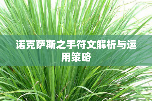 诺克萨斯之手符文解析与运用策略