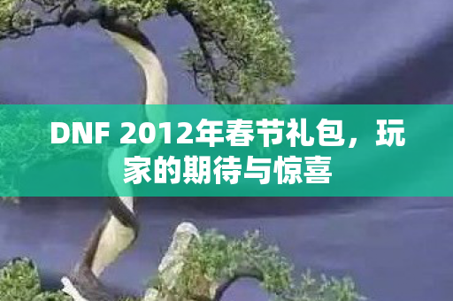 DNF 2012年春节礼包，玩家的期待与惊喜