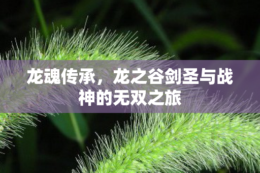 龙魂传承，龙之谷剑圣与战神的无双之旅