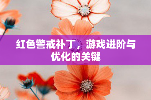 红色警戒补丁，游戏进阶与优化的关键