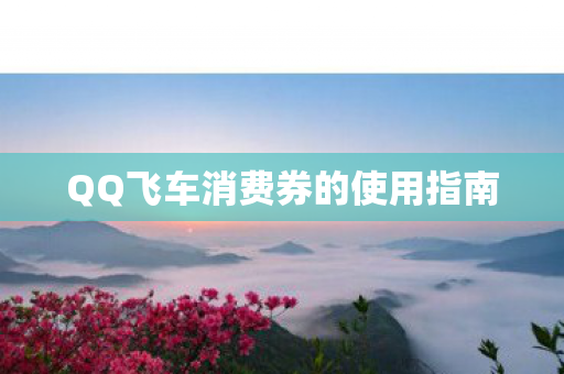 QQ飞车消费券的使用指南