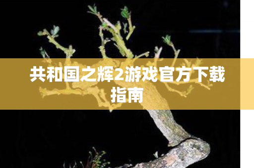 共和国之辉2游戏官方下载指南