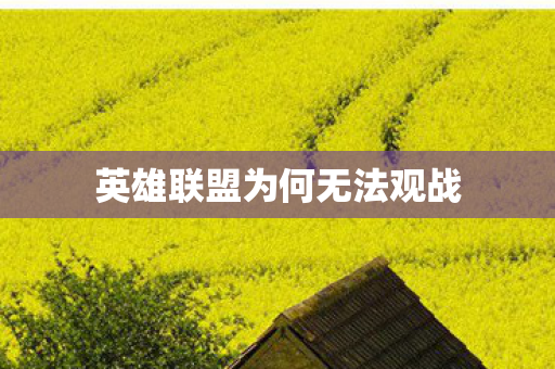 英雄联盟为何无法观战