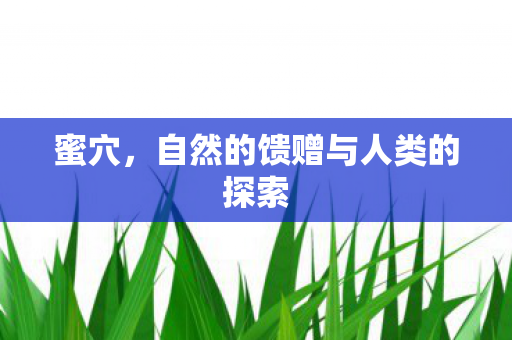 蜜穴，自然的馈赠与人类的探索