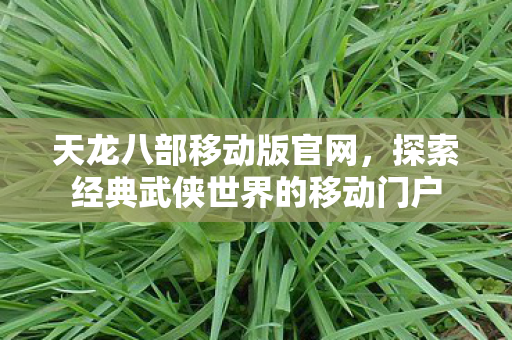 天龙八部移动版官网，探索经典武侠世界的移动门户