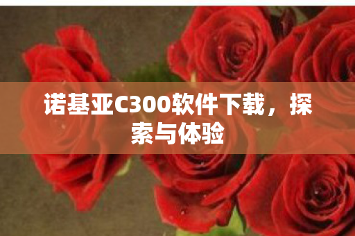 诺基亚C300软件下载，探索与体验