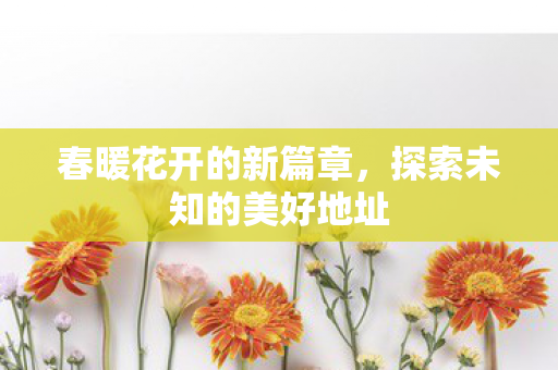 春暖花开的新篇章，探索未知的美好地址