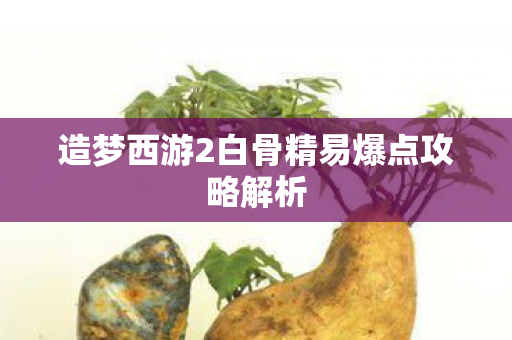 造梦西游2白骨精易爆点攻略解析