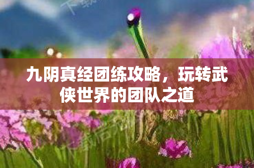 九阴真经团练攻略，玩转武侠世界的团队之道