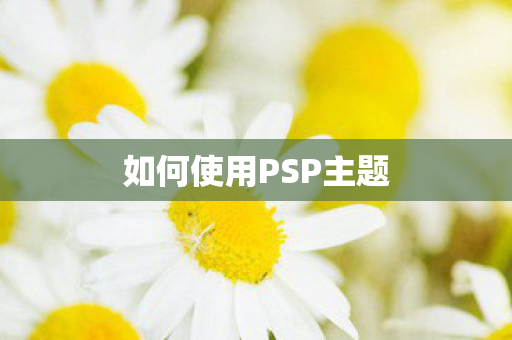 如何使用PSP主题