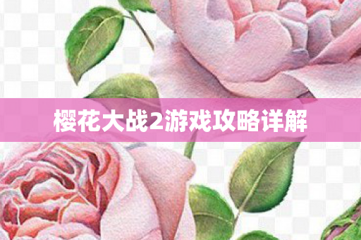 樱花大战2游戏攻略详解