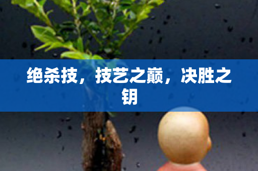 绝杀技，技艺之巅，决胜之钥