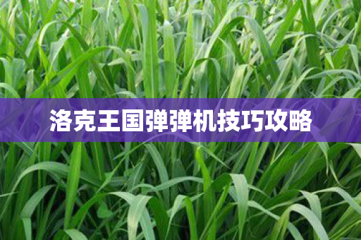 洛克王国弹弹机技巧攻略