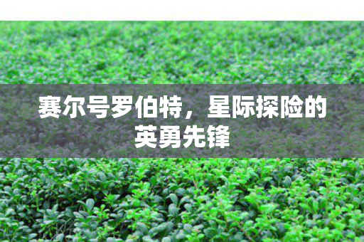 赛尔号罗伯特，星际探险的英勇先锋