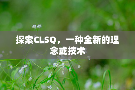 探索CLSQ，一种全新的理念或技术