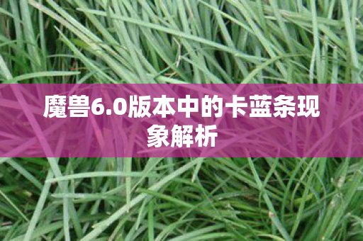 魔兽6.0版本中的卡蓝条现象解析