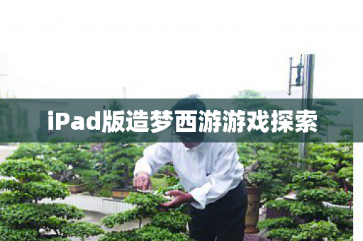 iPad版造梦西游游戏探索