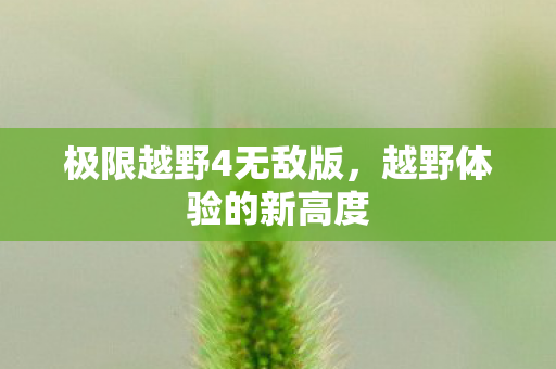 极限越野4无敌版，越野体验的新高度